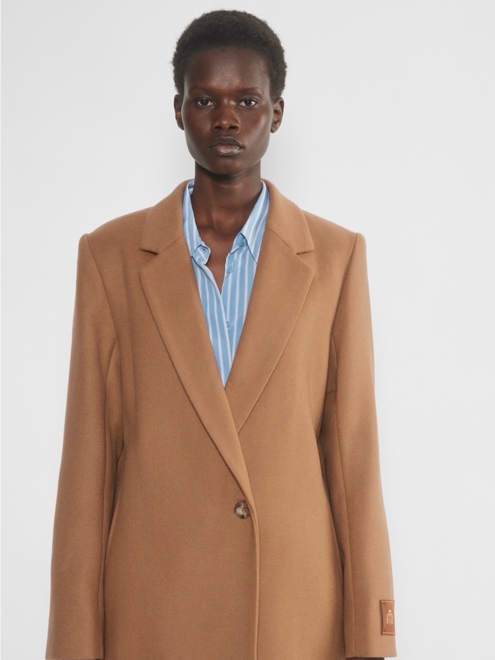 Aritzia stedman Coat - saville